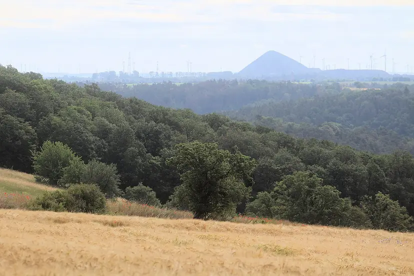Landschaft bei Gorenzen mit Blick zur Spitzkegelhalde im Mansfelder Land