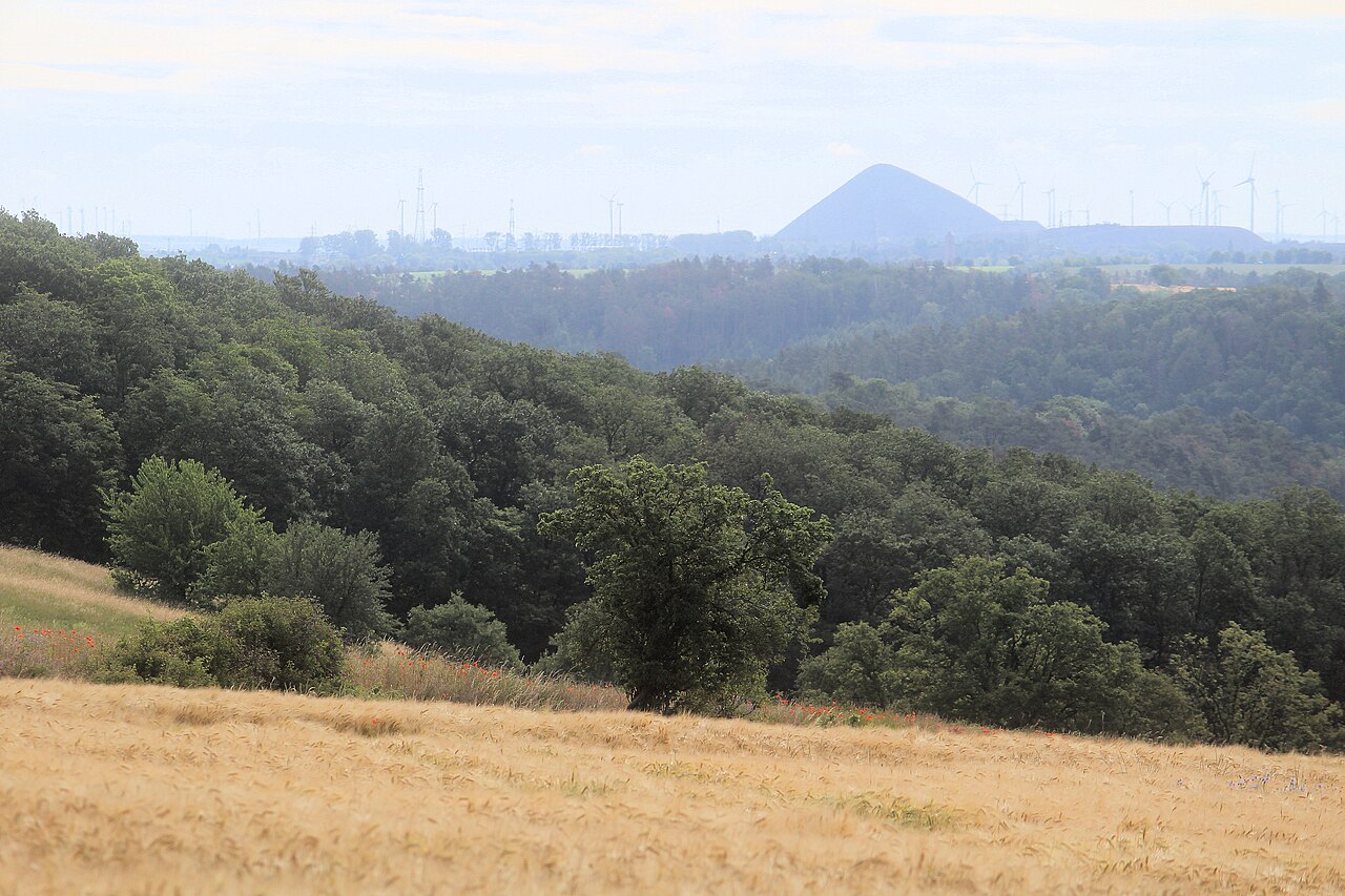 Landschaft bei Gorenzen mit Blick zur Spitzkegelhalde im Mansfelder Land