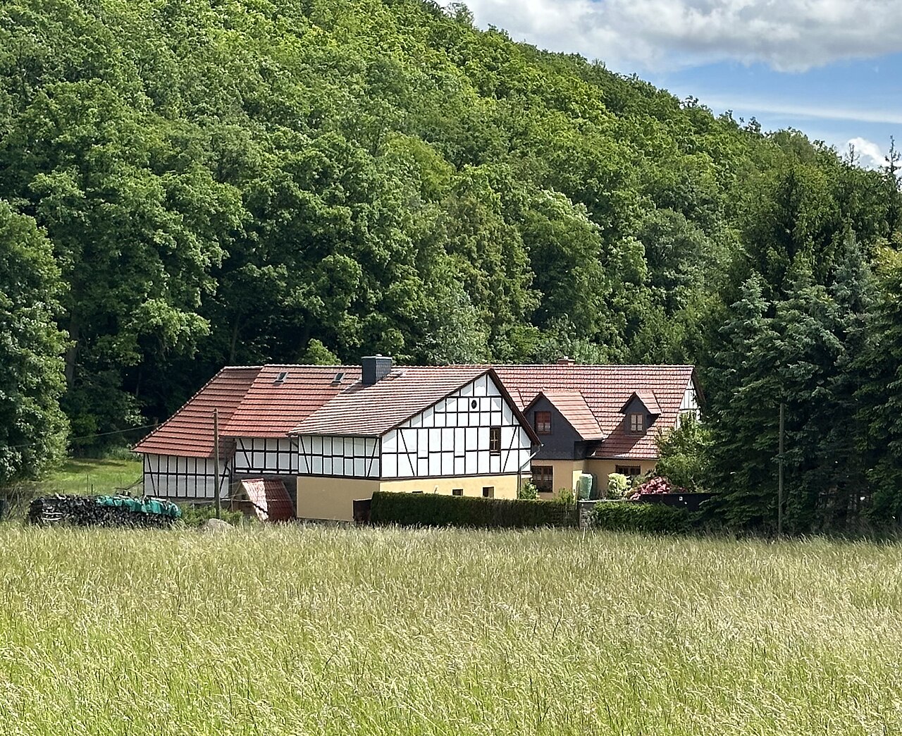 Klipp-Mühle bei Grillenberg im Mansfelder Land