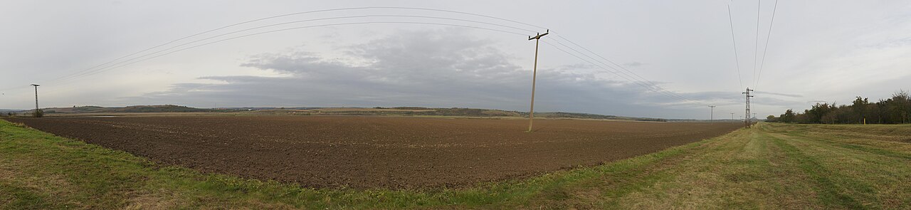 Ehemaliger Salziger See im Mansfelder Land